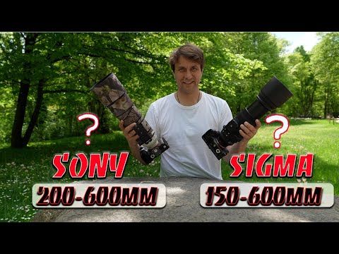Sigma 150-600mm vs Sony 200-600mm -- Who wins?