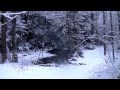 Tim Eriksen: Idumea/Am I Born To Die 