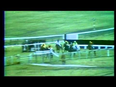 1979 Grand Annual Challenge Cup Chase Cheltenham Casbah