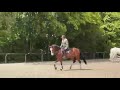 Warco de Wemmel, 4 ans 