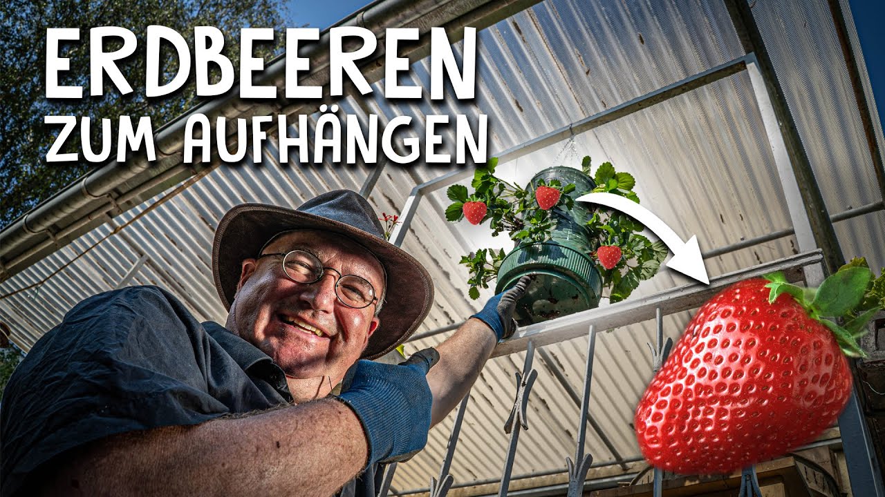 Obst anbauen Video 1