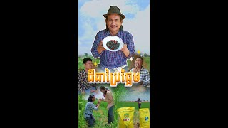 ស្រែគេល្អអើយល្អ មិចខុសគេតែស្រែឯងចឹង 😐