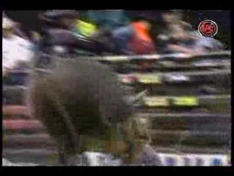 Mike White Vs. God's Gift