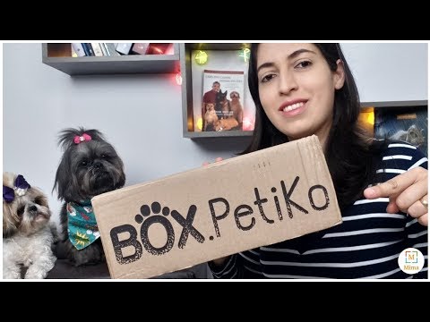 download lagu mp3 mp4 Petiko, download lagu Petiko gratis, unduh video klip Petiko