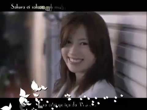 Sakura Anata ni Deaete﻿ Yokatta [vietsub-kara]