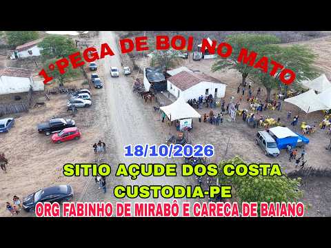 1°PEGA DE BOI NO MATO SITIO AÇUDE DOS COSTA CUSTODIA-PE ORG FABINHO E CARECA.