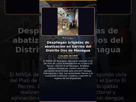 Despliegan brigadas de abatización en barrios del Distrito Dos de Managua