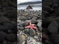 What happens during an ebb tide?