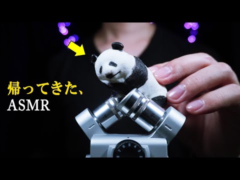 ASMR 鼓膜をゾクゾクさせるホワイト睡眠用トリガー（綿棒耳かき、スクイーズ、梵天 etc..） White Triggers for Deep Sleep