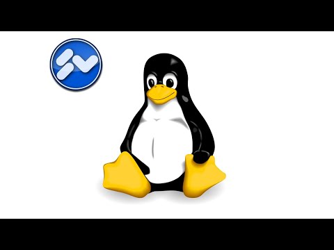 Linux: Windows 10 als VM installieren