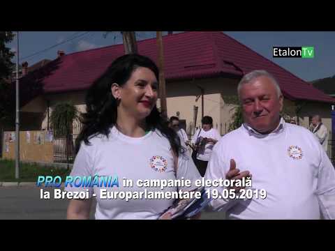 Delegația Pro România Vâlcea în campanie la Brezoi - mai 2019