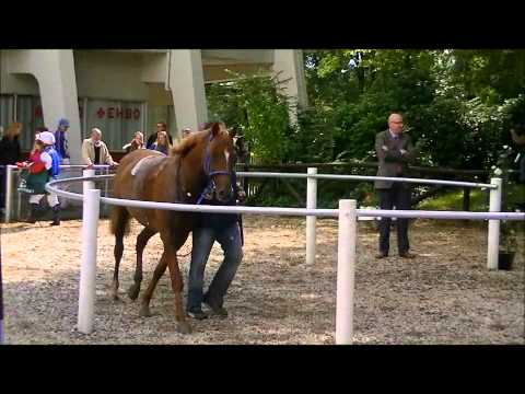 Duindigt 18-09-2011 Uncut