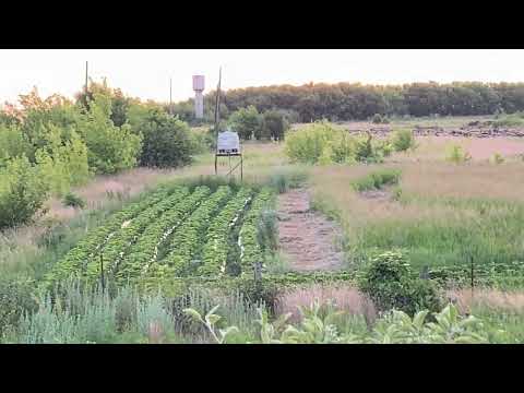 19 марта 2025 г.