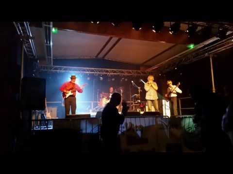 The Dog's Band au Vicq Blues Festival 2014 - Pretty Baby