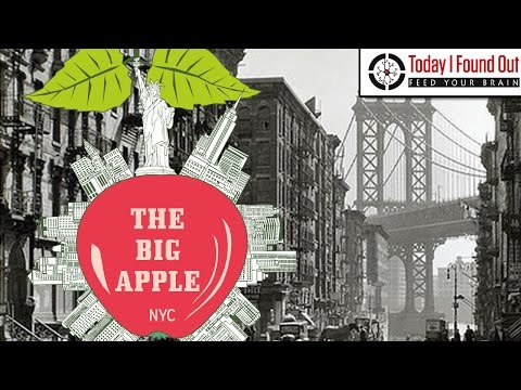 Why is New York City Called the Big Apple?