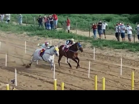 Dick Brummel VS Garfield Brummel - CORRIDA ESPETACULAR!!!