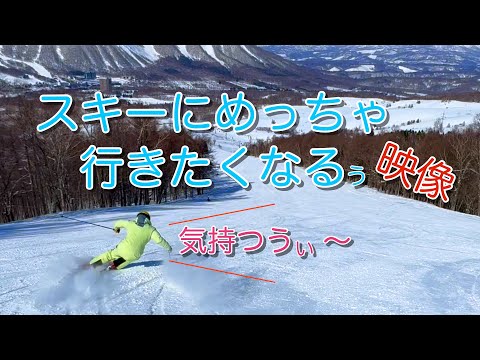 スキーにめっちゃ行きたくなる映像　ルスツリゾート