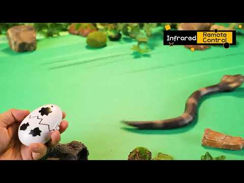 I/R RC sensing cobra Snake 2024 new toys  #remotecontroltoy