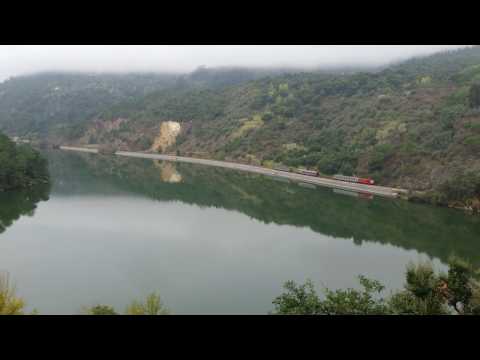 Comboio n.º 31301 (Transporte do Comboio Histórico de Via Estreita) - Aregos