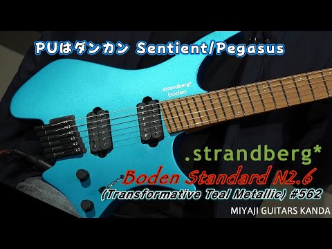 Strandberg Boden Standard N2.6 - Transformative Teal Metallic image 11
