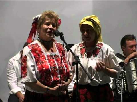 Al șaptelea festival rumânească cu melodii originale, Bor 2011 2