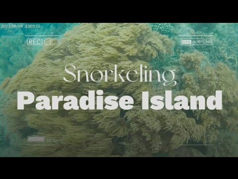 SNORKELING @PARADISE ISLAND SAMAL | MARY CRIS