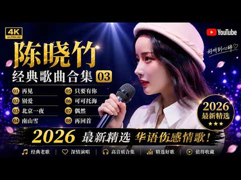 陈晓竹经典歌曲合集03｜再见・别爱・北京一夜・南山雪・只要有你・可可托海・偶然・再回首｜经典情歌连唱