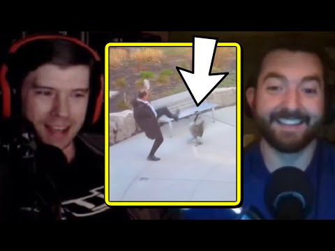 PKA Reacts to Geese ATTACKING People