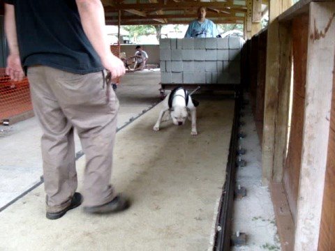 Emerald Hills Matilda