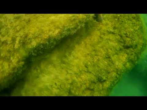 2021 1201 112618 079