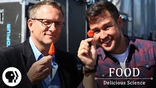 FOOD – DELICIOUS SCIENCE | Series Preview | PBS Food