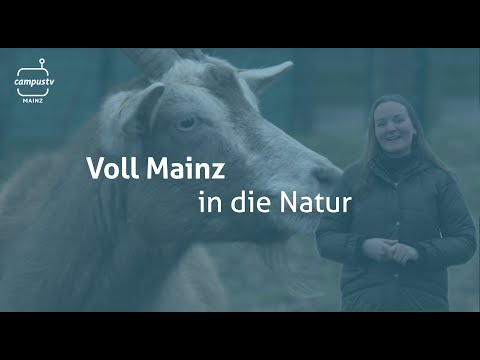 Voll Mainz – In die Natur
