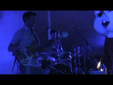 Aqueous performing "Kitty Chaser" at the Chaffee Gathering 2014
