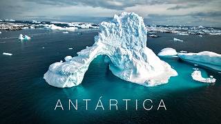 Antártica. Um filme de As Viagens de Antônio