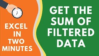 Get the Sum of Filtered Data in Excel (Using SUBTOTAL Formula)
