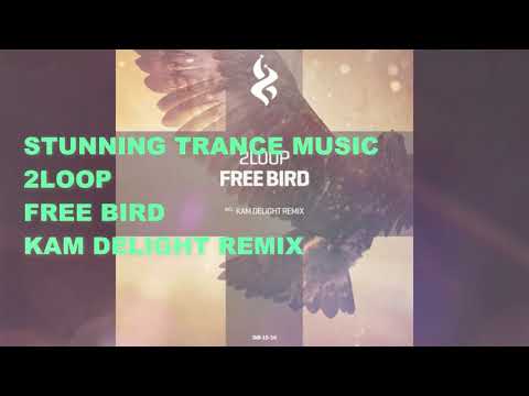 2Loop - Free Bird (Kam Delight Remix)