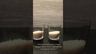 Download lagu Strong Kangen Water 11.5PH #activehydrogen #kangenwater #nochemicalproduct #activehydrogen mp3 Download lagu Strong Kangen Water 11.5PH #activehydrogen #kangenwater #nochemicalproduct #activehydrogen mp3