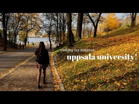 a weekend in uppsala, sweden! 🇸🇪