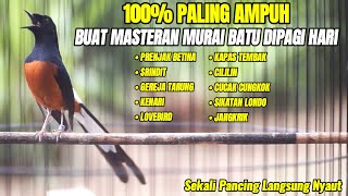 Download lagu PANCINGAN MURAI BATU GACOR FULL TEMBAKAN PANJANG,COCOK BUAT MASTERAN MURAI ANDA mp3 Download lagu PANCINGAN MURAI BATU GACOR FULL TEMBAKAN PANJANG,COCOK BUAT MASTERAN MURAI ANDA mp3