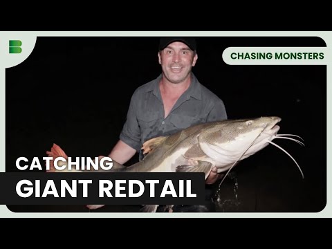 Into the Heart of Amazon Predators - Chasing Monsters - Nature Documentary