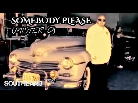 Mister D Somebody Please ( OFFICIAL THROWBACK 2010 VIDEO)