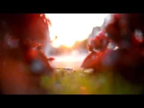 Mikee APG I Love Nysa Minimalistyczni_E Radio Edit