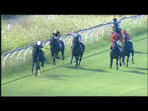 Galoppo 12/08/2020 4ª corsa