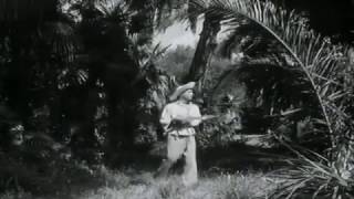 Bruce Low - Ein Paradies am Meeresstrand 1953