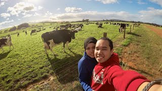 Road Trip to Western Australia 2019 Part 2 | Malaysia
