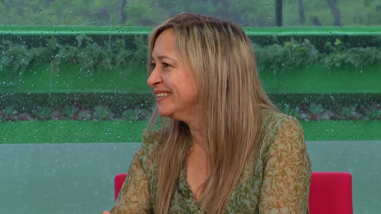 Agressões Virtuais | Cyberbullying