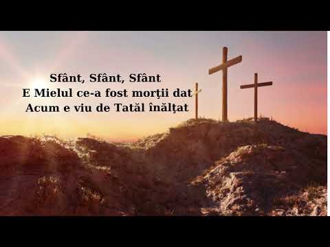 Emma Repede   Un Fiu iubit/Versuri/Lyrics