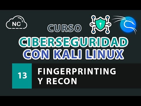 Curso de Ciberseguridad con Kali Linux Análisis de Endpoints de API
