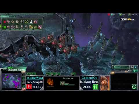 2010 GSL Season 3 Ro64 Match 5 Set 2   TheWinD vs Golden