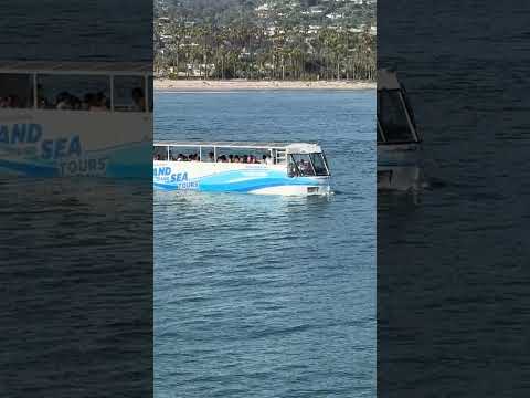 Santa Barbara Harbor | Tour Boat | Stearns Wharf | Land & Sea Tours